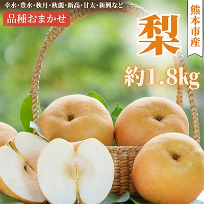【2026年8月上旬-10月中旬発送予定】熊本市産 梨(品種おまかせ) 約1.8kg(熊本市)　
