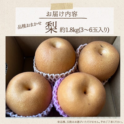 【2026年8月上旬-10月中旬発送予定】熊本市産 梨(品種おまかせ) 約1.8kg(熊本市)　