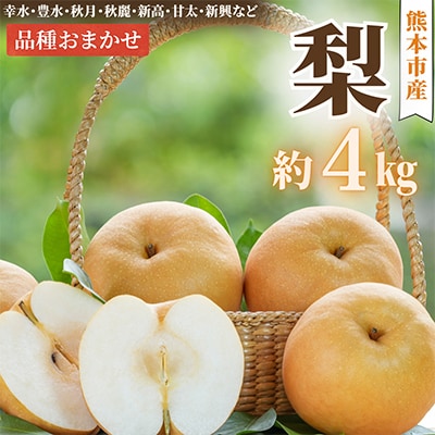 【2026年8月上旬～9月下旬発送予定】熊本市産 梨(幸水・豊水・秋月・秋麗・新高など) 約4kg