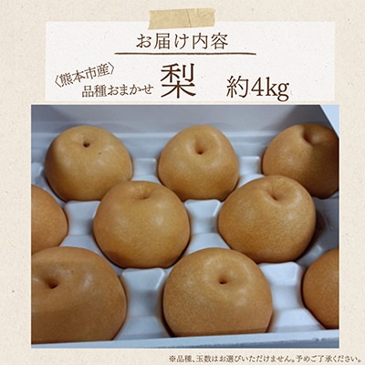 【2026年8月上旬～9月下旬発送予定】熊本市産 梨(幸水・豊水・秋月・秋麗・新高など) 約4kg