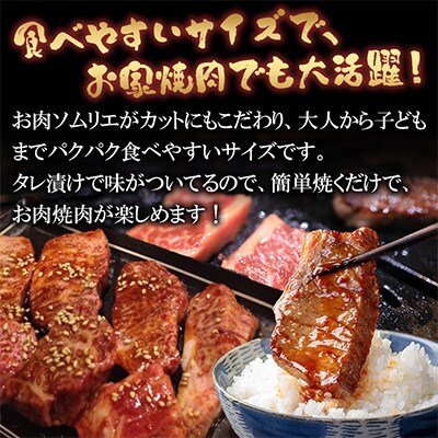【訳あり】パク旨牛ハラミ (特選タレ漬け) 約3kg(300g×10袋)