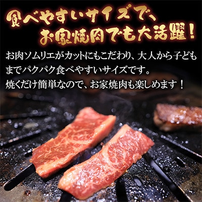 【訳あり】パク旨牛ハラミ (味付けなし) 約3kg(300g×10袋)