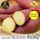 ★10月発送開始★ 鹿児島県産生さつまいも 「紅はるか」約5kg 先行受付 JA 南さつま