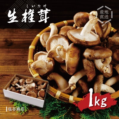 原木栽培の伊豆産 生しいたけ 1kg | ふるさと納税のお礼品