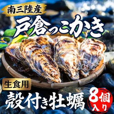 戸倉っこかき 殻付き牡蠣8個 生食用 牡蠣剥きナイフ
