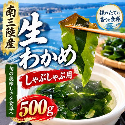 南三陸産 とれたて生わかめ 500g