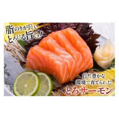 【毎月定期便】訳ありおさしみとろサーモン 200g×3パック全3回