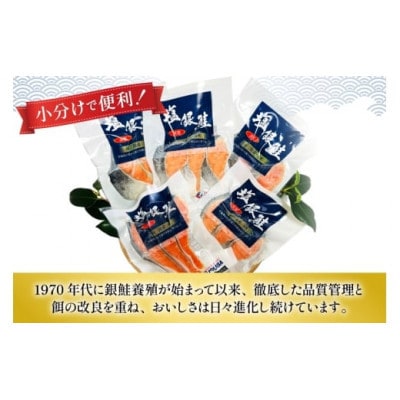 【毎月定期便】塩銀鮭パック3切れ×5袋全3回