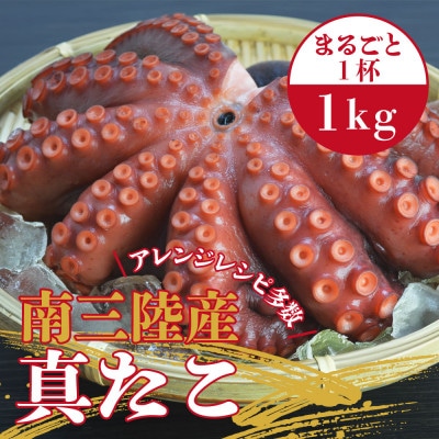 南三陸産 真たこ 1kg