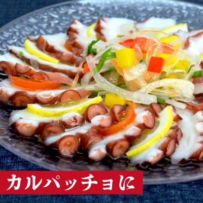 南三陸産 真たこ 1kg