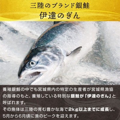 宮城ブランド銀鮭「伊達のぎん」お刺身サーモン 約700g