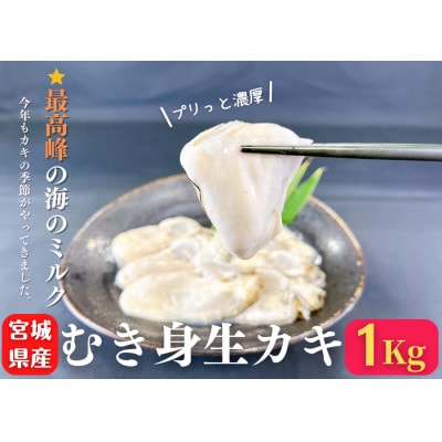 宮城県産むき牡蠣(生食用)500g×2パック