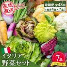 年間定期便48回 イタリア野菜セットショート 7品 (H078128)