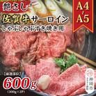 佐賀牛サーロインしゃぶしゃぶすき焼き用 600g(300g×2P)(H112115)