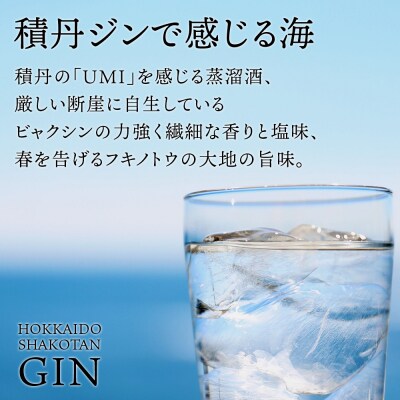 ジン 北海道 積丹 酒 アルコール 火の帆 UMI 500ml 4本