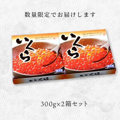 いくら醤油漬け2箱セット<大川商店>