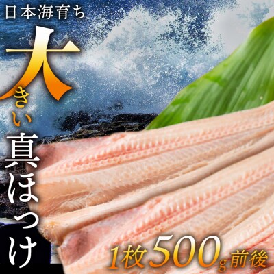 とにかく大きい 開きほっけ 7枚セット <大川商店> ホッケ 干物 冷凍 北海道産