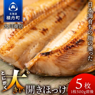 とにかく大きい開きほっけ 5枚<大川商店>