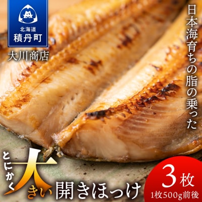 とにかく大きい 開きほっけ 3枚セット<大川商店> ホッケ 干物 冷凍 北海道産