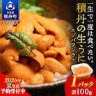 【2026年夏発送分】先行受付開始 バフンウニ100g×1パック