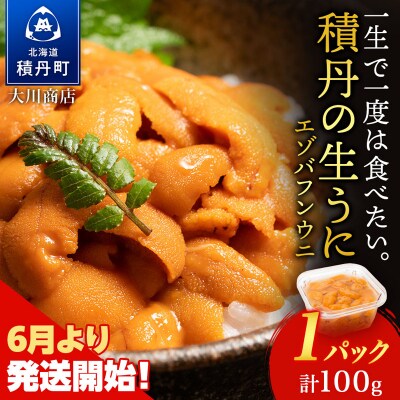 【2026年夏発送分】先行受付開始 バフンウニ100g×1パック