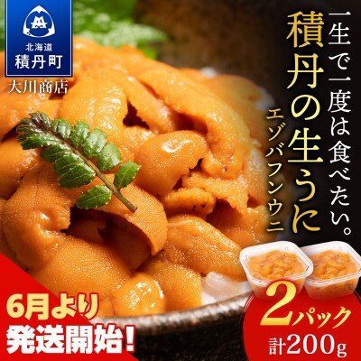 【2026年夏発送分】先行受付開始 バフンウニ100g×2パック