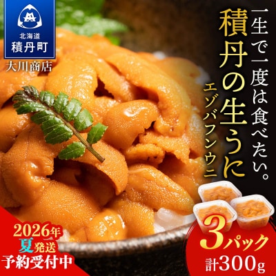 【2026年夏発送分】先行受付開始 バフンウニ100g×3パック