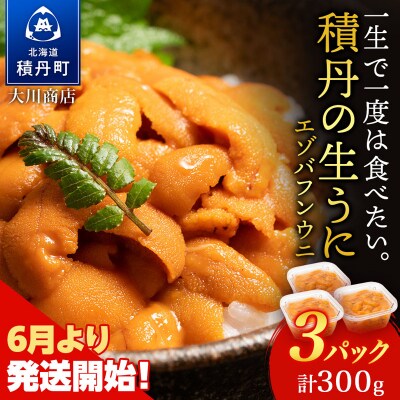【2026年夏発送分】先行受付開始 バフンウニ100g×3パック