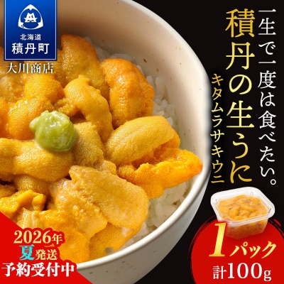 【2026年夏発送分】先行受付開始 ムラサキウニ100g×1パック