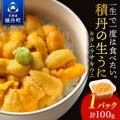 【2026年夏発送分】先行受付開始 ムラサキウニ100g×1パック