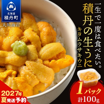 【2027年夏発送分】先行受付開始 ムラサキウニ100g×1パック