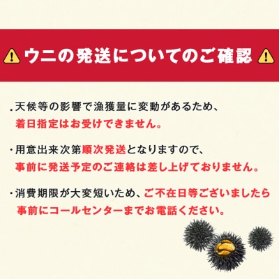 【2026年夏発送分】先行受付開始 ムラサキウニ100g×1パック