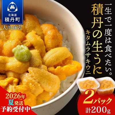 【2026年夏発送分】先行受付開始 ムラサキウニ100g×2パック