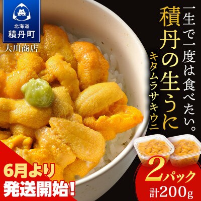 【2026年夏発送分】先行受付開始 ムラサキウニ100g×2パック