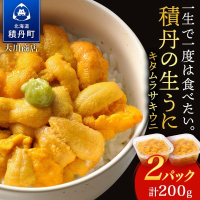 【2026年夏発送分】先行受付開始 ムラサキウニ100g×2パック