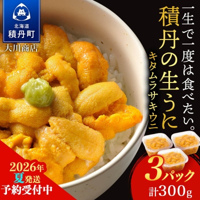 【2026年夏発送分】先行受付開始 ムラサキウニ100g×3パック