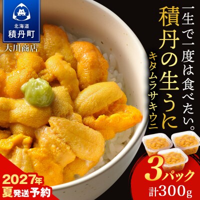 【2027年夏発送分】先行受付開始 ムラサキウニ100g×3パック