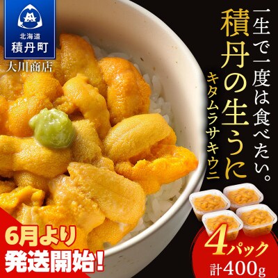 【2026年夏発送分】先行受付開始 ムラサキウニ100g×4パック