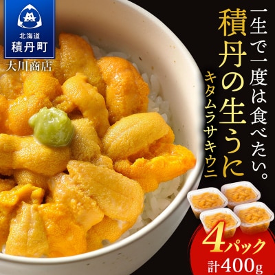 【2026年夏発送分】先行受付開始 ムラサキウニ100g×4パック
