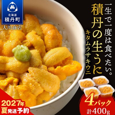 【2027年夏発送分】先行受付開始 ムラサキウニ100g×4パック