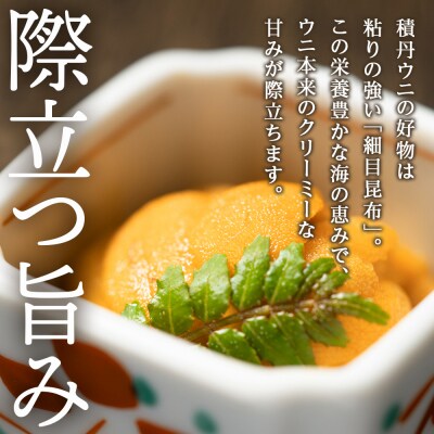 【2027年夏発送分】先行受付開始 ムラサキウニ100g×4パック