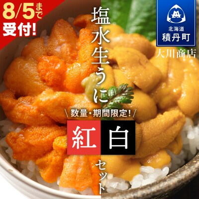 １０月５日 地元でとれたてムラサキウニ１０枚セット 粒ウニ・皿盛り(ムラサキ