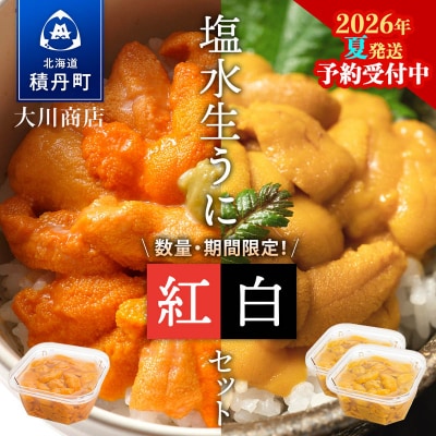 【2026年夏発送分】先行受付開始 バフンウニ100g×1・ムラサキウニ100g×2