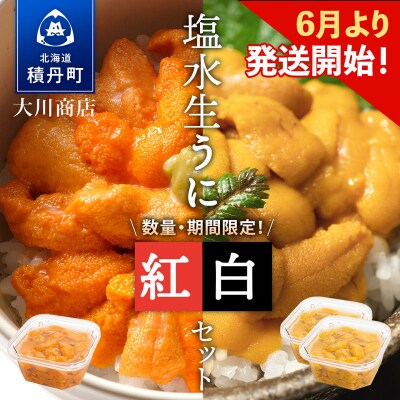 【2026年夏発送分】先行受付開始 バフンウニ100g×1・ムラサキウニ100g×2