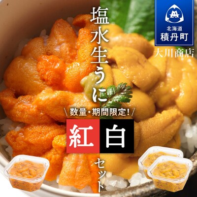【2026年夏発送分】先行受付開始 バフンウニ100g×1・ムラサキウニ100g×2