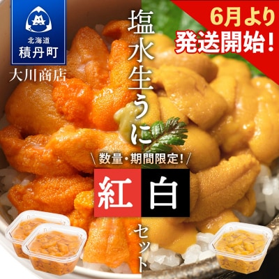 【2026年夏発送分】先行受付開始 バフンウニ100g×2・ムラサキウニ100g×1