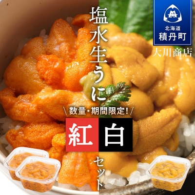 【2026年夏発送分】先行受付開始 バフンウニ100g×2・ムラサキウニ100g×1