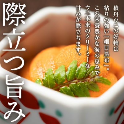 【2026年夏発送分】先行受付開始 バフンウニ100g×2・ムラサキウニ100g×1