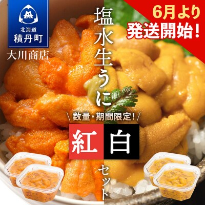 【2026年夏発送分】先行受付開始 バフンウニ・ムラサキウニ 各100g×2