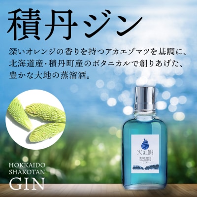 ジン 北海道 積丹 酒 蒸溜酒 アルコール 火の帆 KIBOU BLUE GIN 100ml 2本